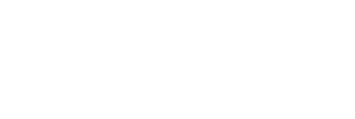 Rhino Electric Motors